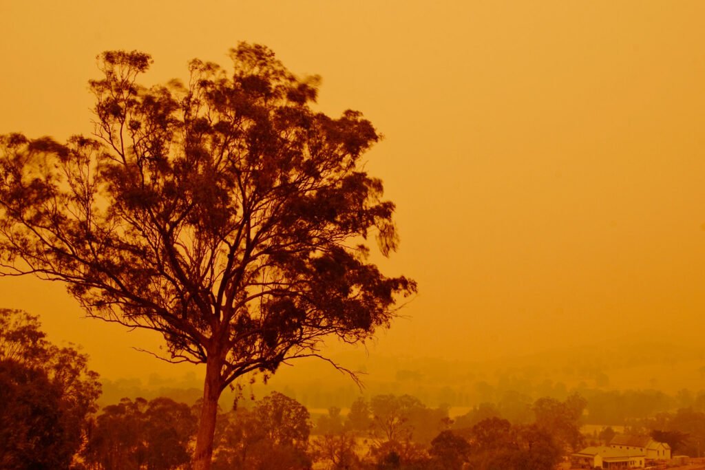 Australia is intrinsically linked to bushfires
