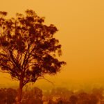 Australia is intrinsically linked to bushfires